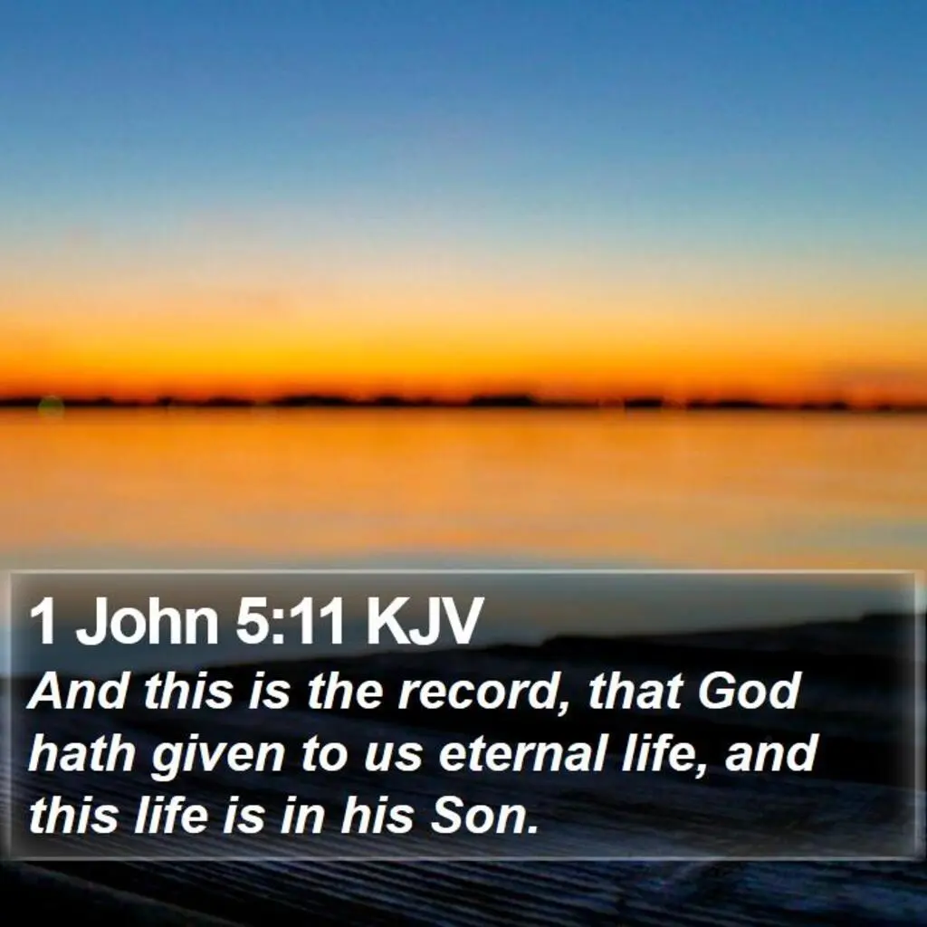 1 John 5