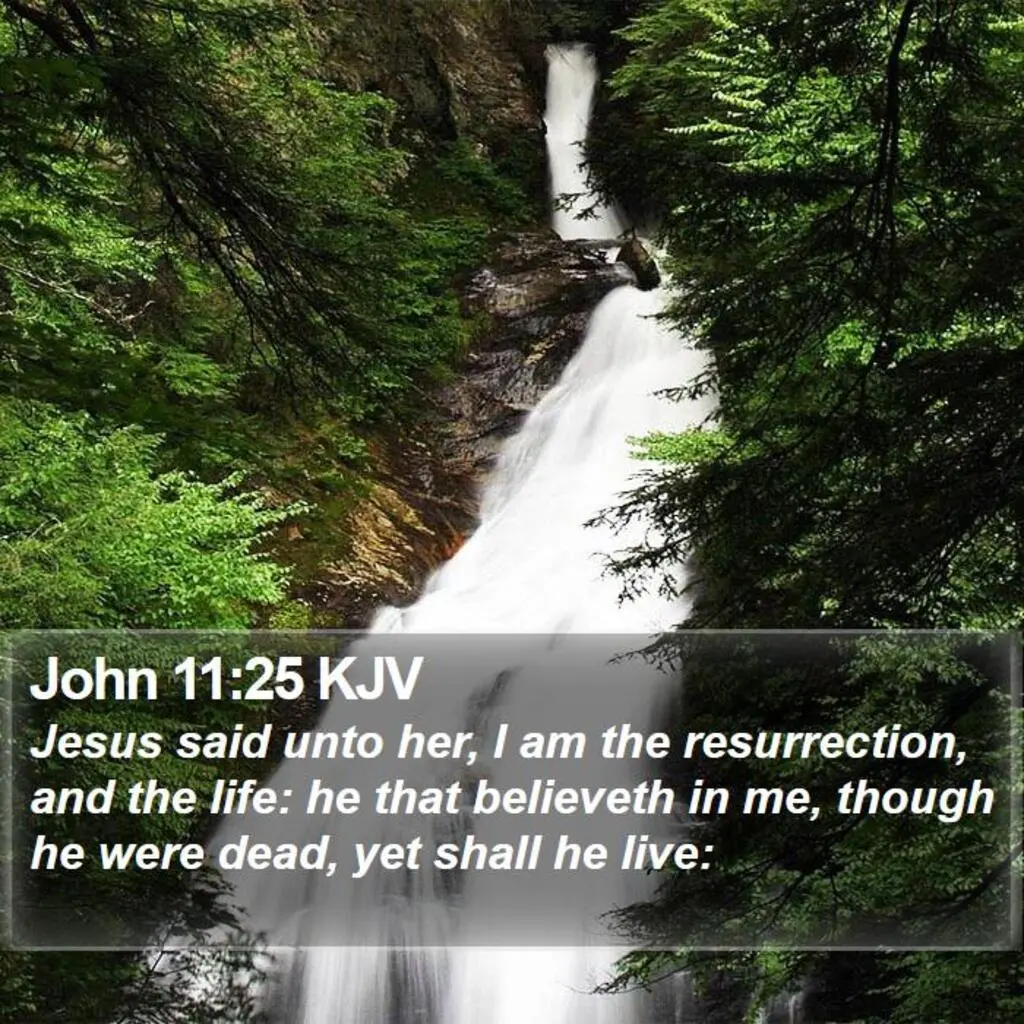 John 11