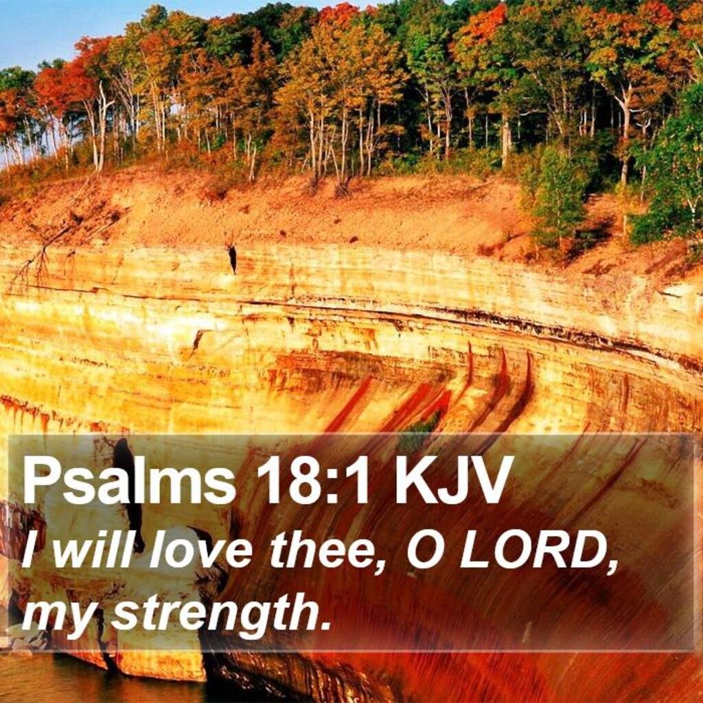 Psalms 18 1 Copy