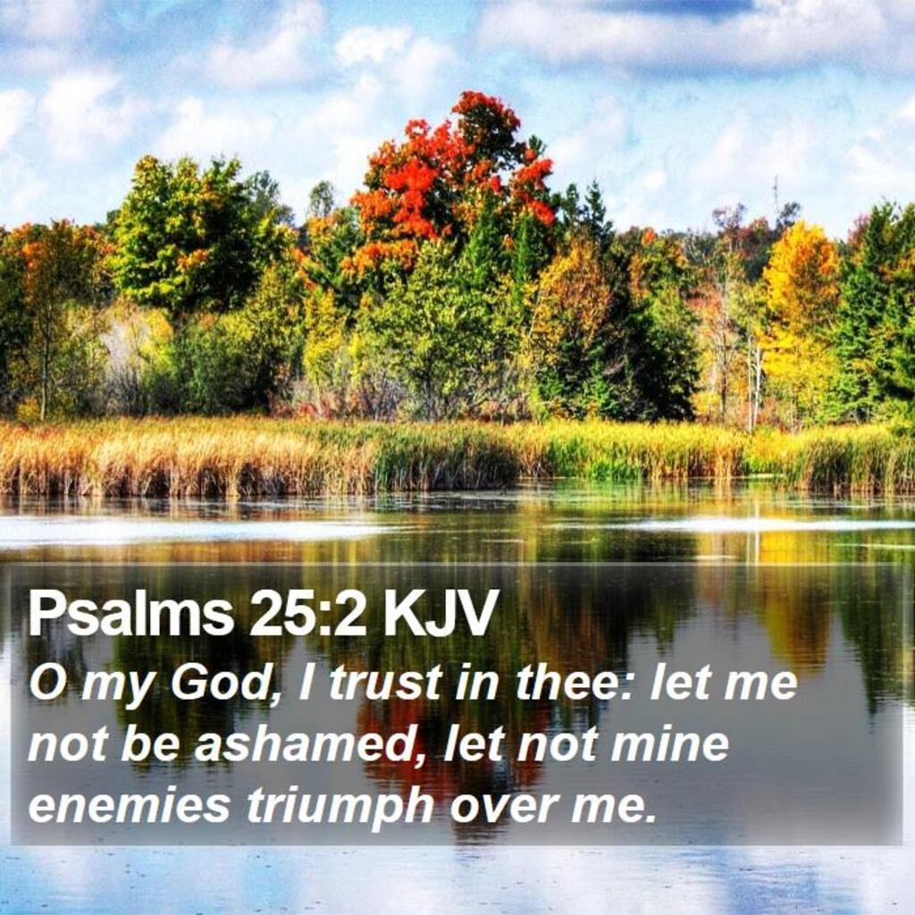 Psalms 25 2 Copy